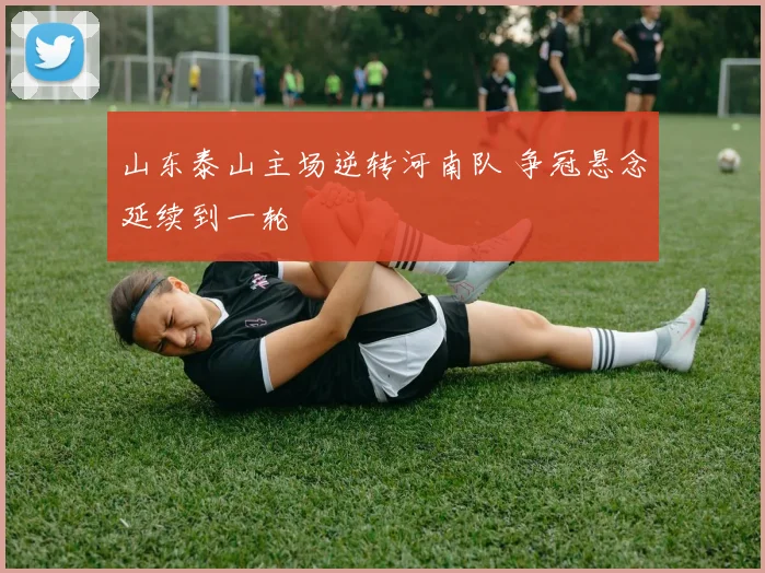山东泰山主场逆转河南队 争冠悬念延续到一轮