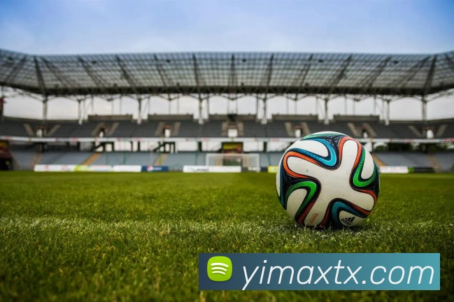 星空网官方登录平台生态图